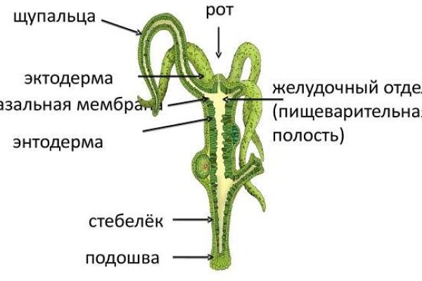 Ссылка на кракен 3dark link com